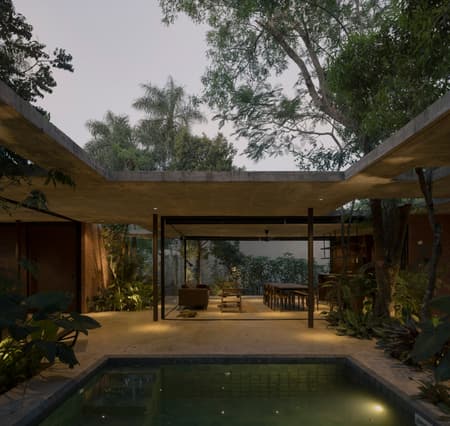 A Forest in the House